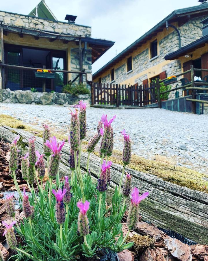 Agriturismo Il Talento Nella Quiete Castiglione d'Intelvi Ngoại thất bức ảnh