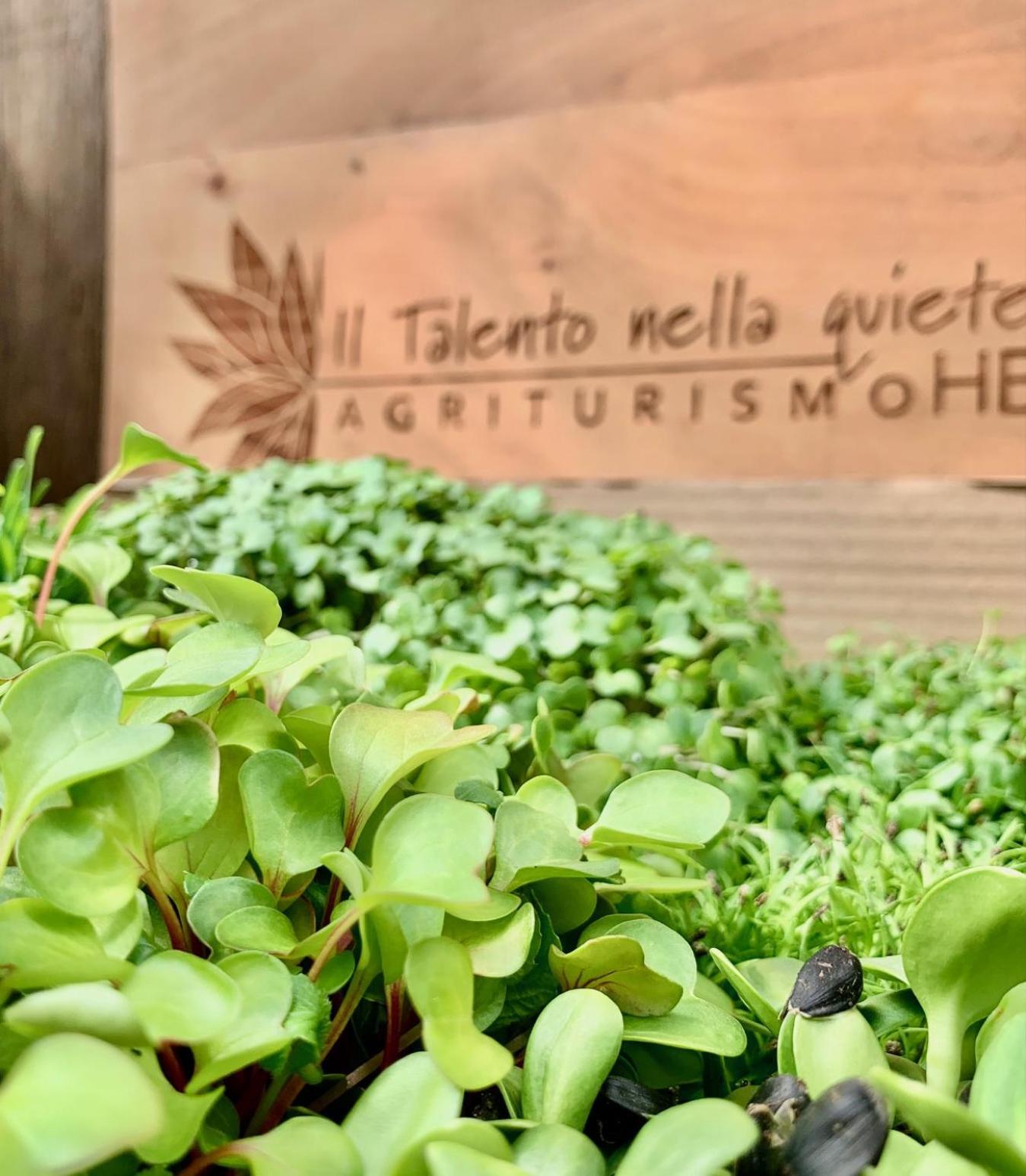 Agriturismo Il Talento Nella Quiete Castiglione d'Intelvi Ngoại thất bức ảnh