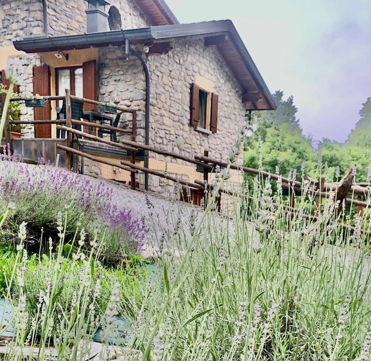 Agriturismo Il Talento Nella Quiete Castiglione d'Intelvi Ngoại thất bức ảnh